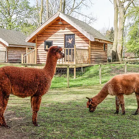 Semesterbostad Pheasant *