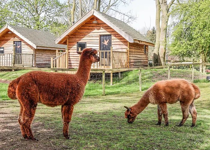 Casa vacanze Pheasant *
