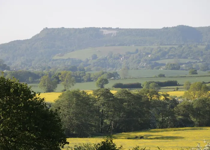 Pheasant 度假居 *